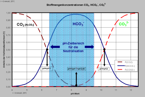 Gleichgewichte der CO2 Neutralisation