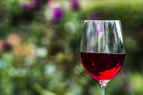 Weinbereitung