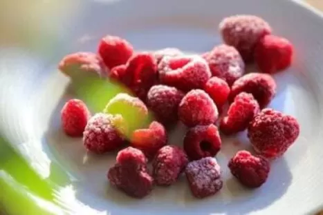 Food production & processing