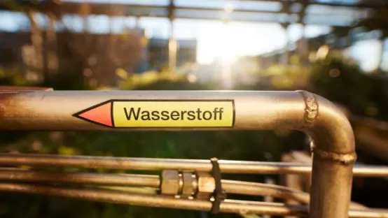 Elektrolyseur zur Erzeugung von erneuerbarem Wasserstoff