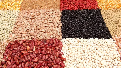 Alternative Proteine für Fleischersatzprodukte basieren auf pflanzlichen Proteinquellen wie Soja, Nüssen oder Hülsenfrüchten