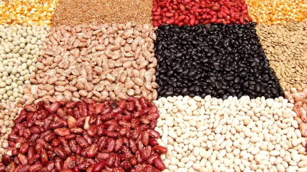 Alternative Proteine für Fleischersatzprodukte basieren auf pflanzlichen Proteinquellen wie Soja, Nüssen oder Hülsenfrüchten