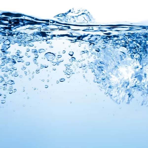 CurtHyl_banner