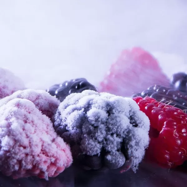 Kühlen und Frosten Tiefgefrorene Beeren