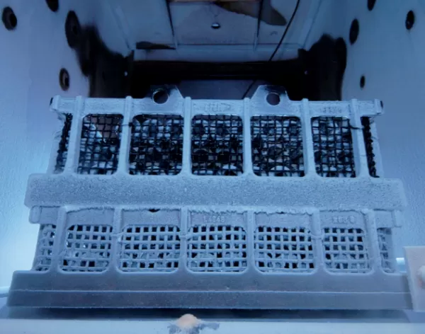 Cryogene Behandlung