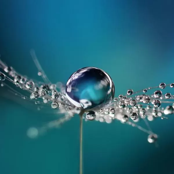Wasserstoff von der Produktion bis zur Distribution