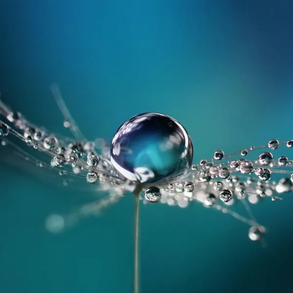 Wasserstoff von der Produktion bis zur Distribution