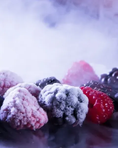 kühlen_und_Frosten_von_Lebensmitteln_4_5_Format