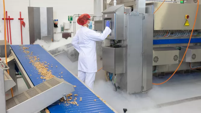 Schnelles Frosten von Fleischalternativen