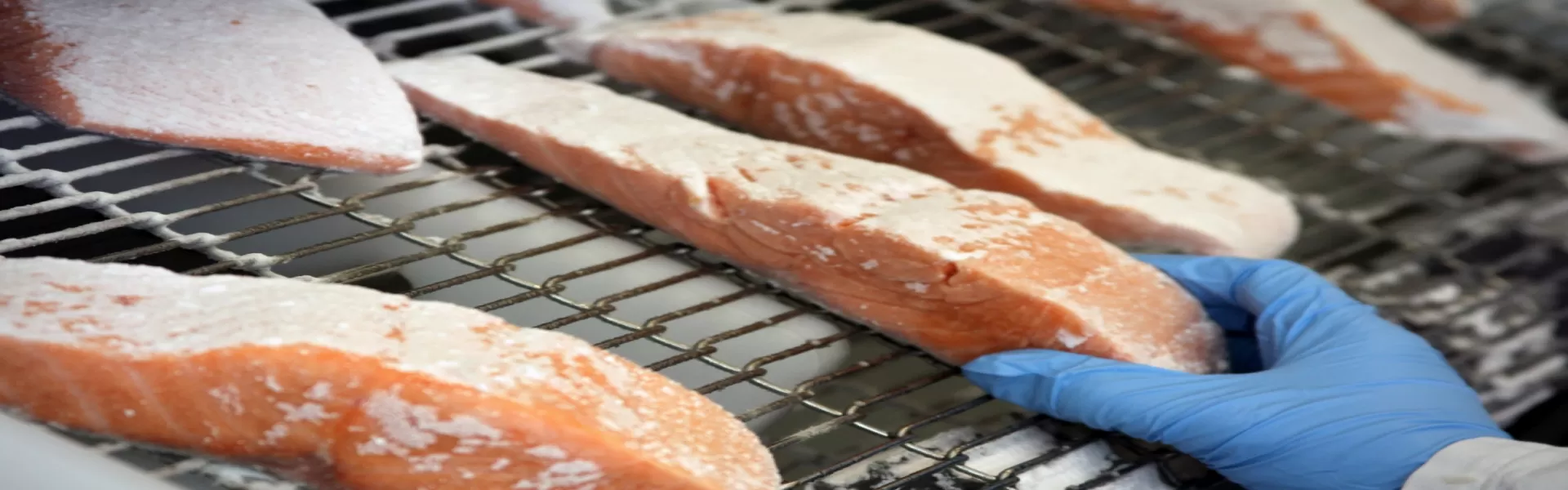 Lachs_Grill