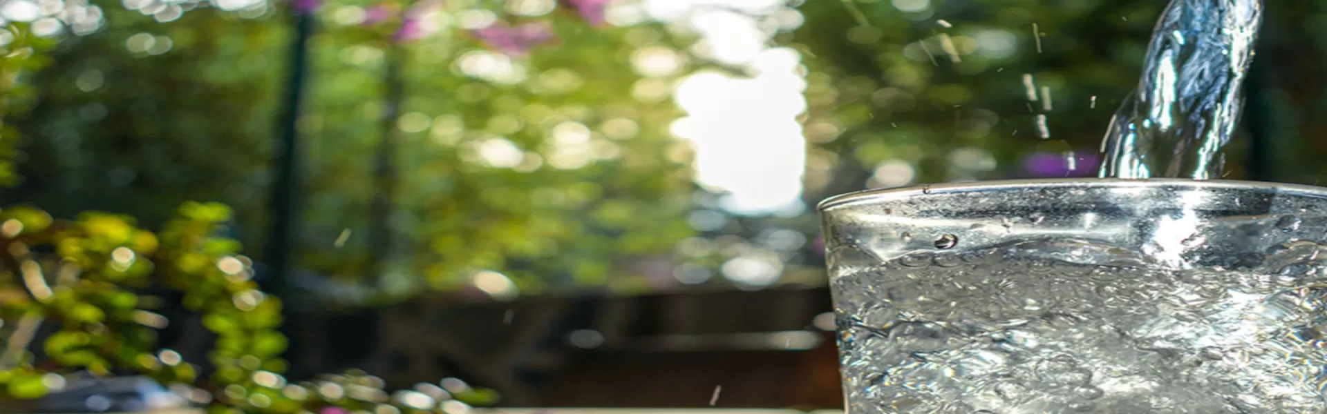 Wasserglas